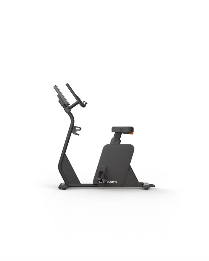 Black Series Upright Bike