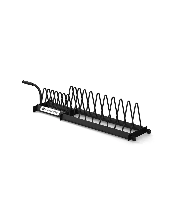 Olympic And Bumper Plate Rack