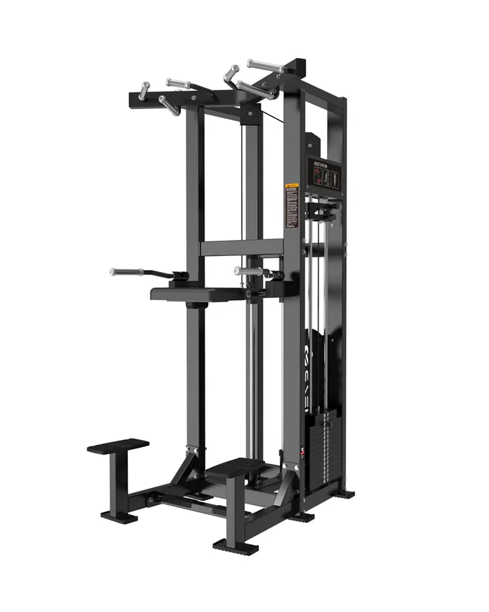 Power Series Dip/chin Assist Pin Load