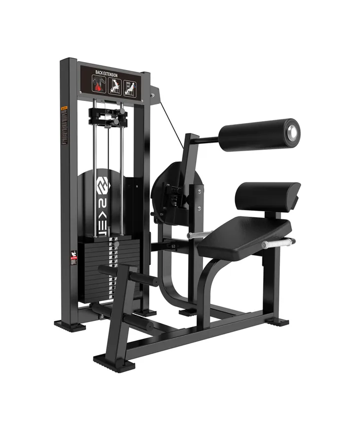 Power Series Back Extension Pin Load