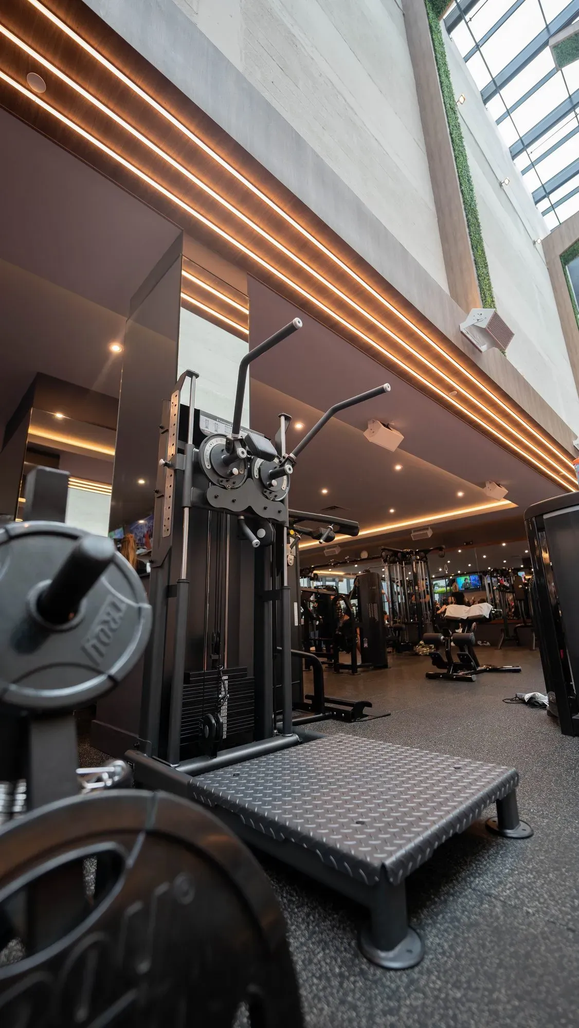 Anatomy South Beach gym with Skelcore equipment — photo 2