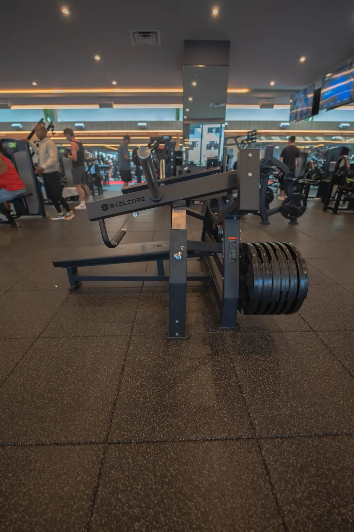 Anatomy South Beach gym with Skelcore equipment — photo 4
