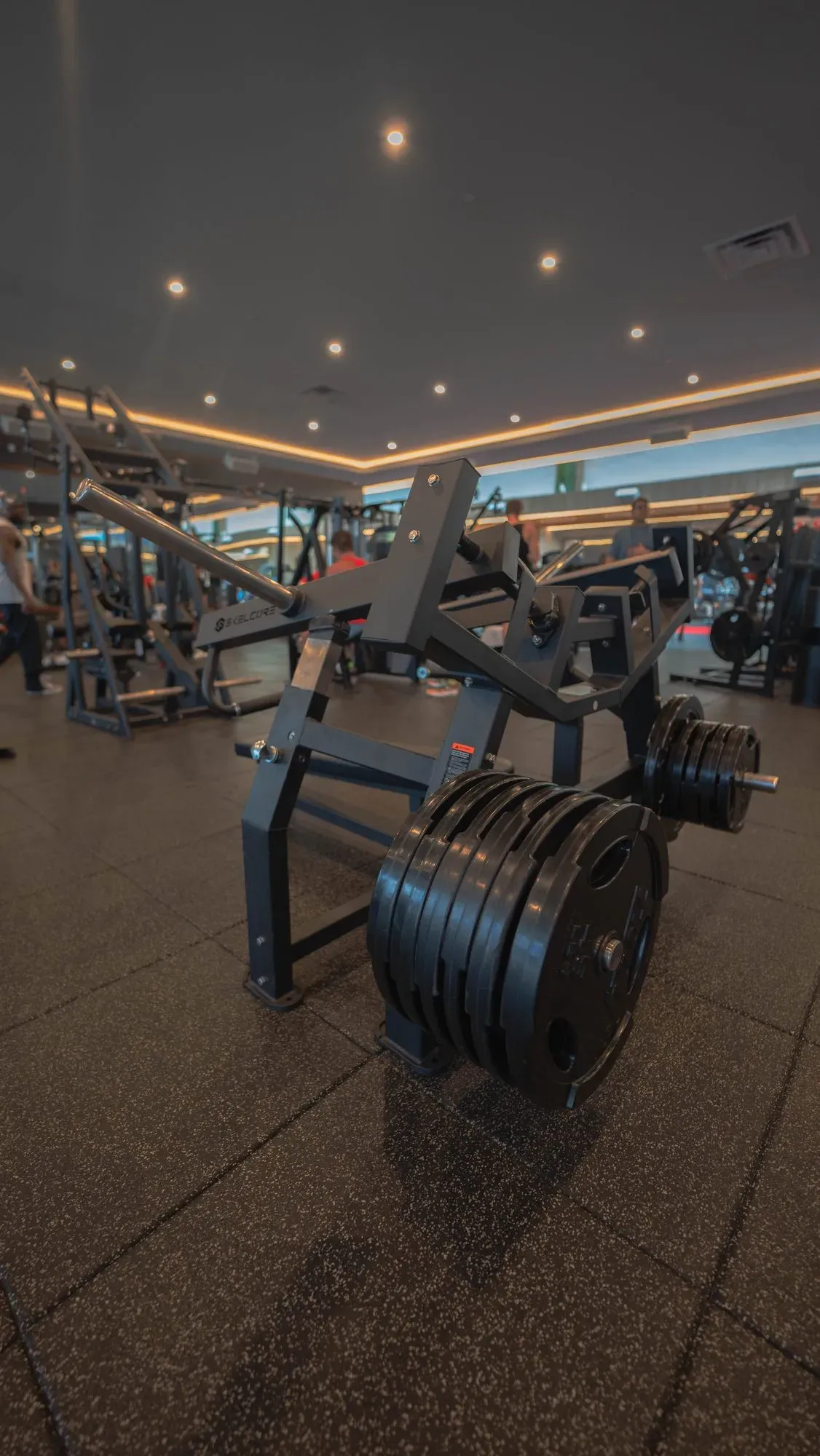 Anatomy South Beach gym with Skelcore equipment — photo 6