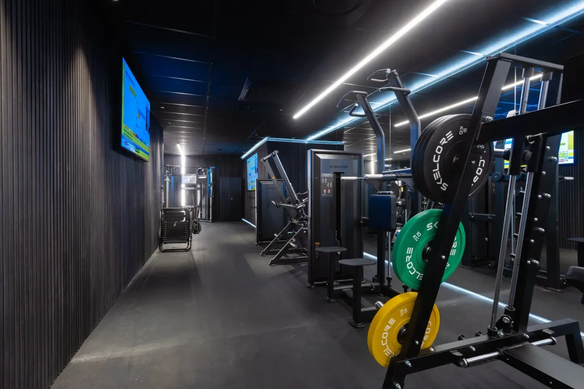 Flight House gym with Skelcore equipment — photo 1