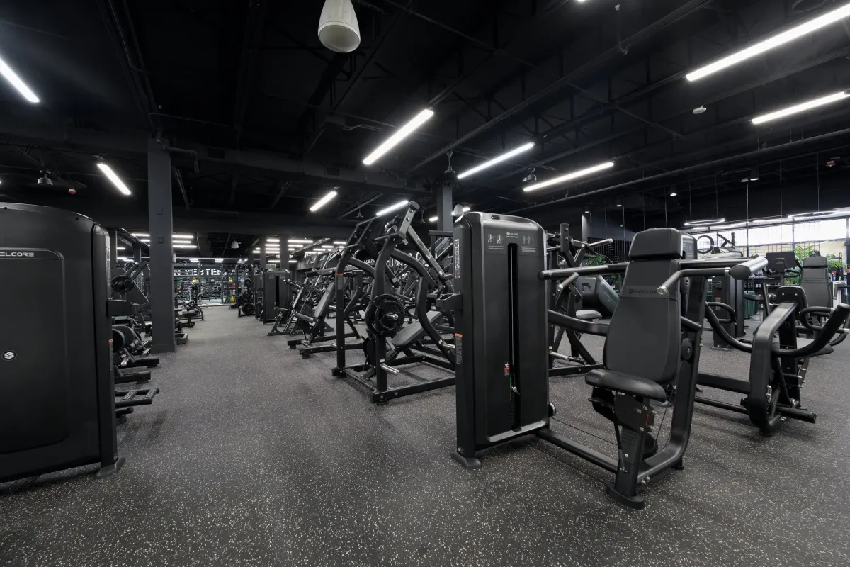 Kodiak Gold gym with Skelcore equipment — photo 1