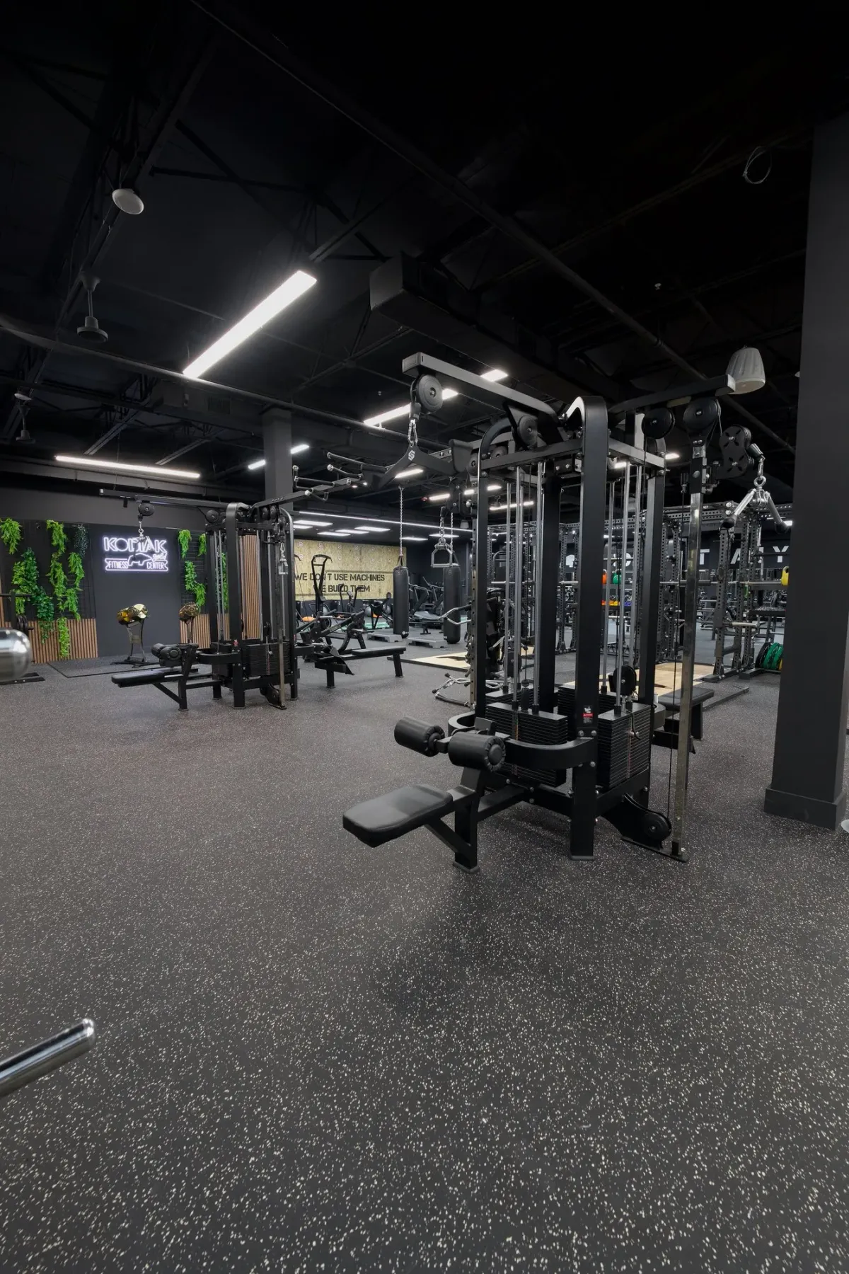 Kodiak Gold gym with Skelcore equipment — photo 2