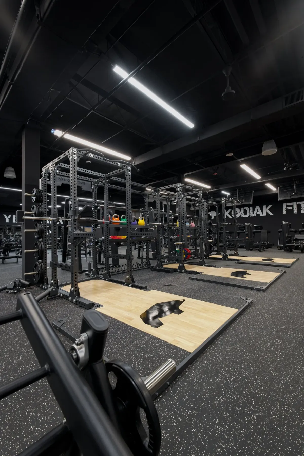Kodiak Gold gym with Skelcore equipment — photo 3