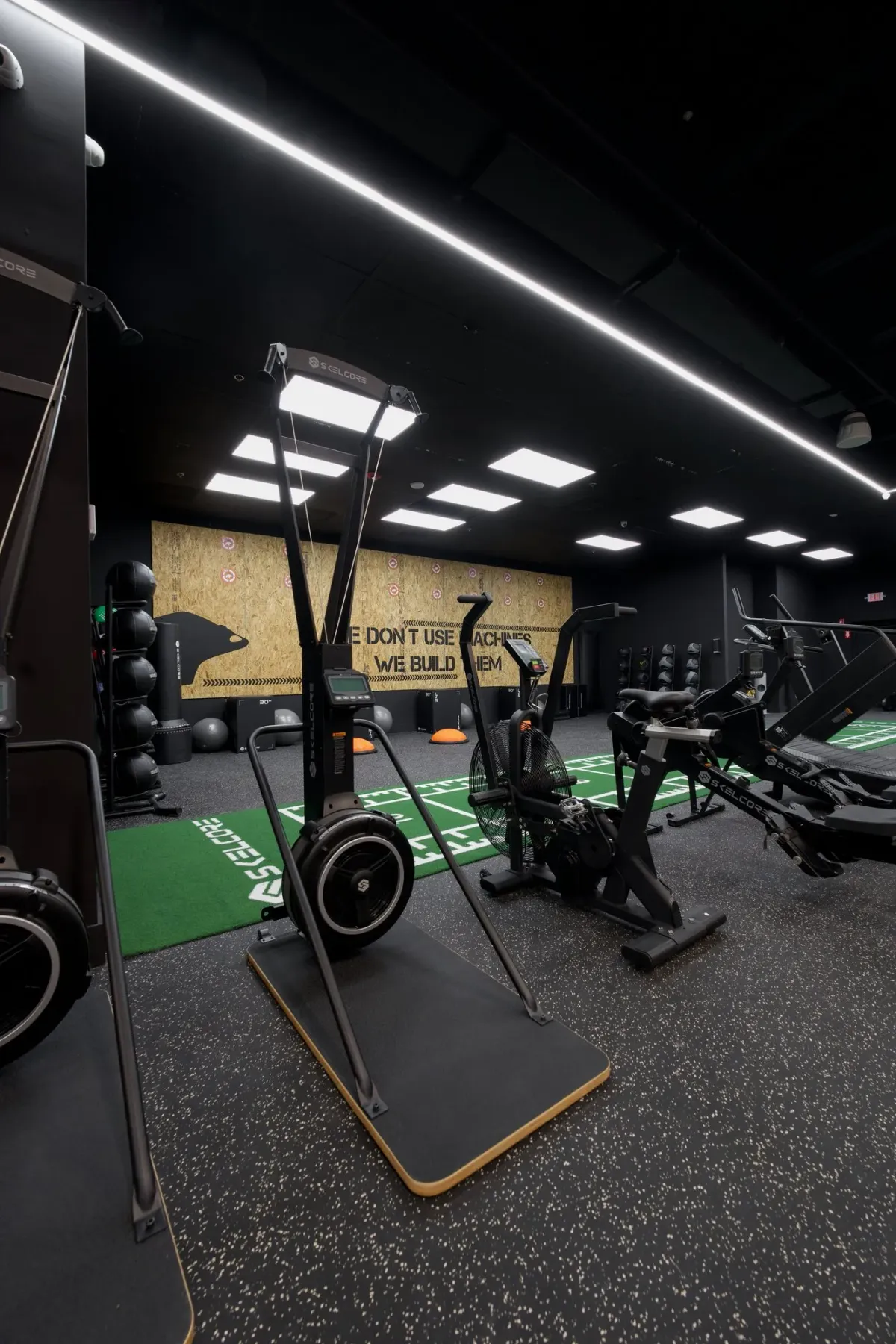 Kodiak Gold gym with Skelcore equipment — photo 4