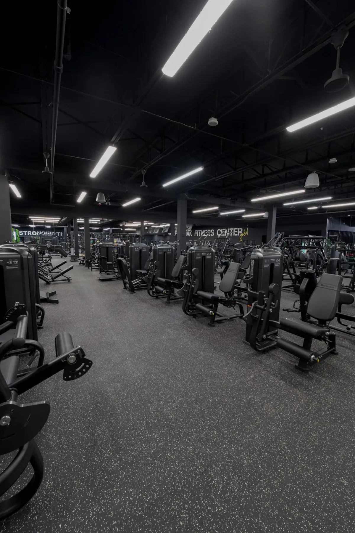 Kodiak Gold gym with Skelcore equipment — photo 5
