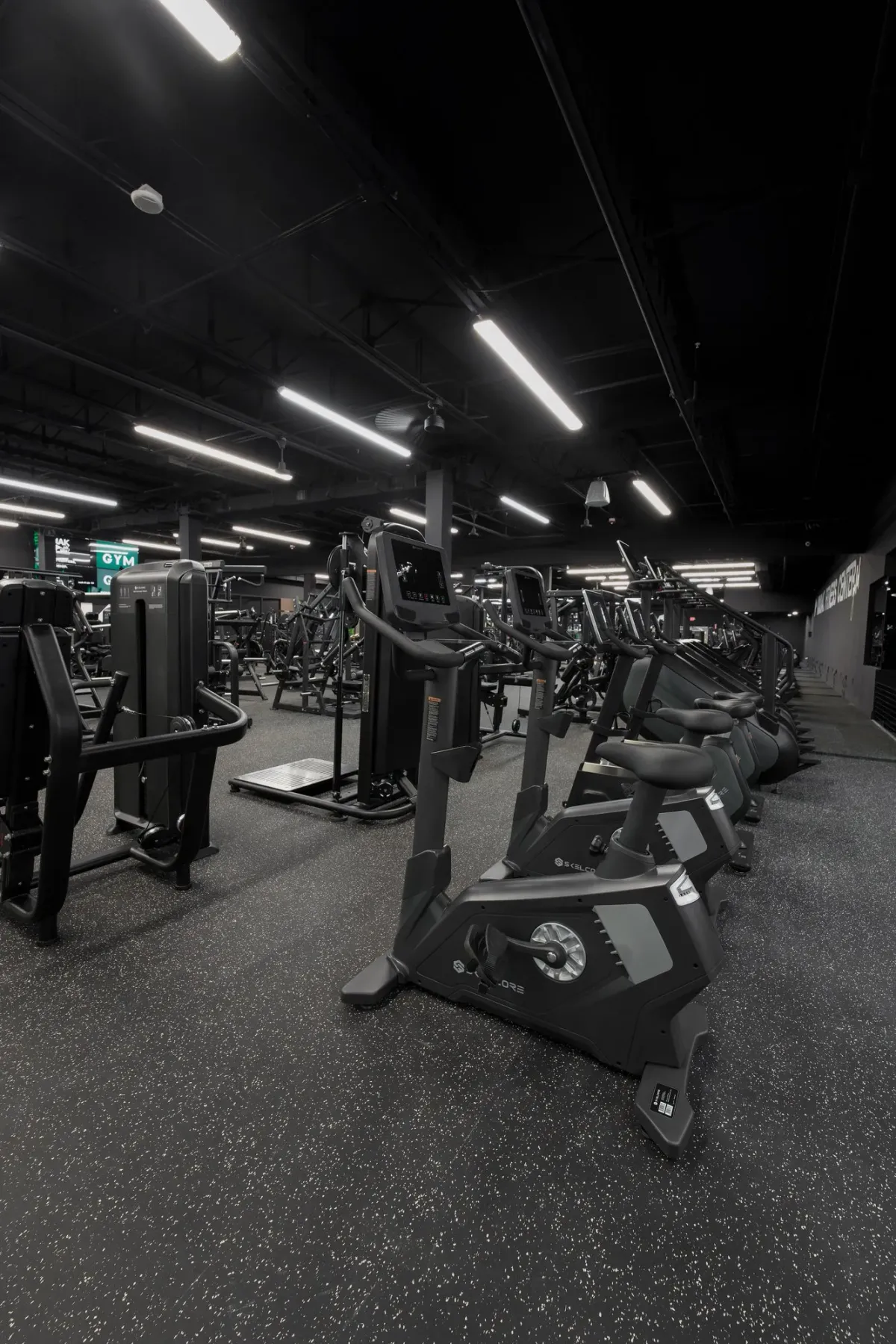 Kodiak Gold gym with Skelcore equipment — photo 6