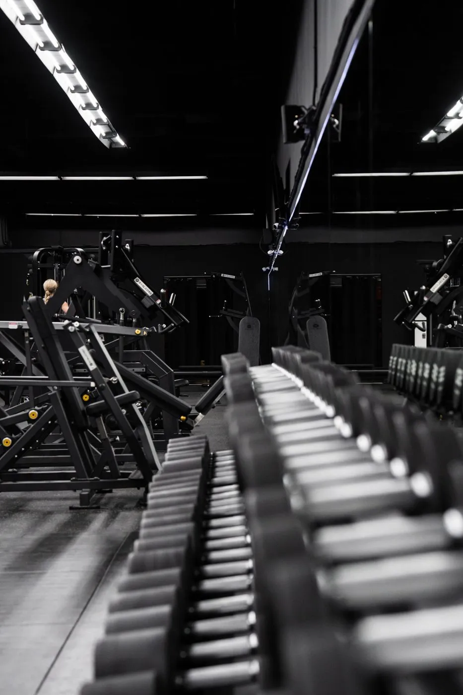 Stoik Gym gym with Skelcore equipment — photo 2