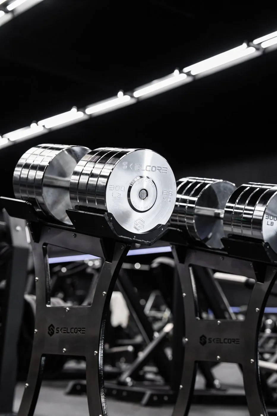 Stoik Gym gym with Skelcore equipment — photo 7